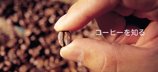 コーヒーを知る